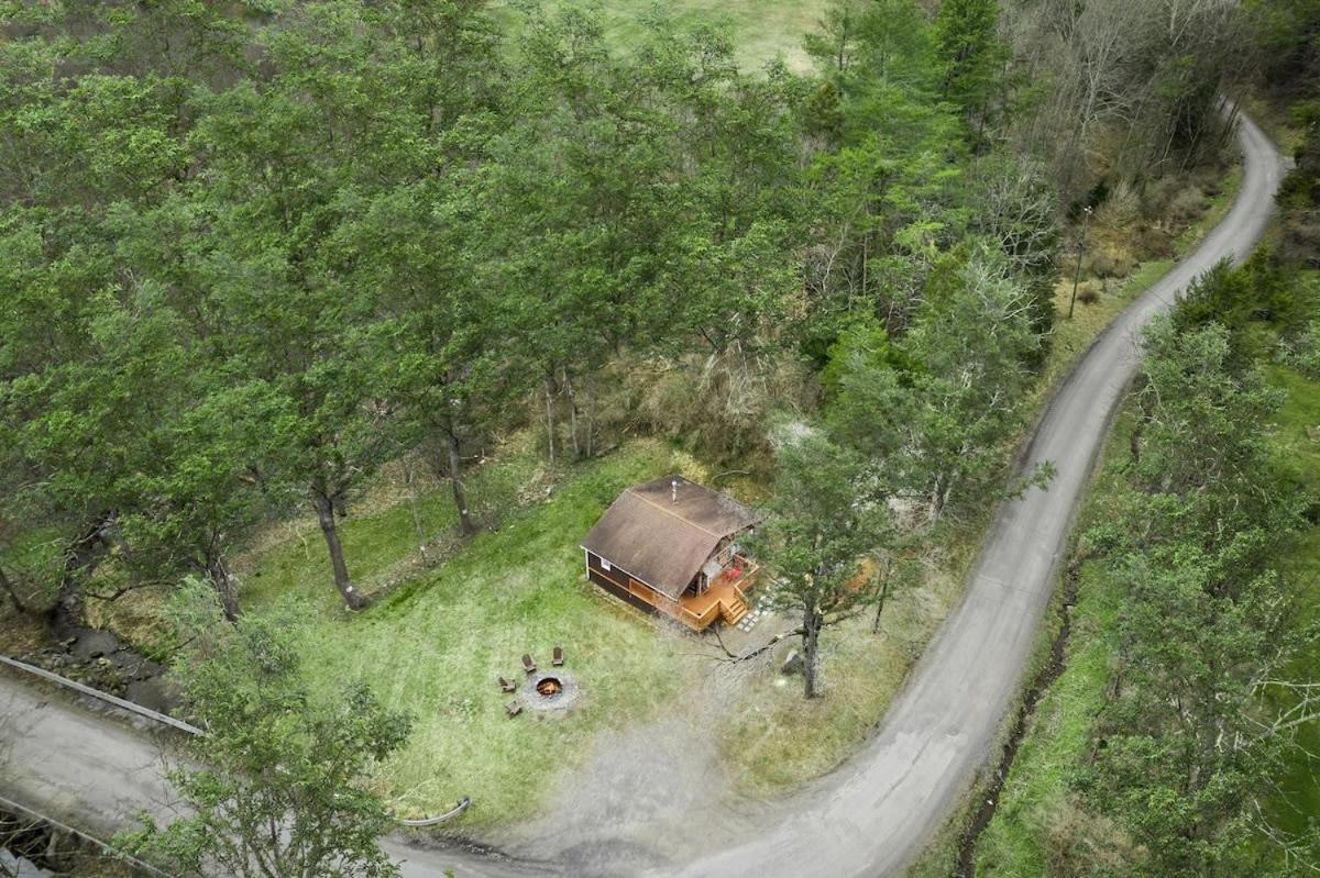 Creekside Cabin W Hot Tub, Fire Pit, Grill, Wifi! Basye Ngoại thất bức ảnh